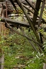 IMG_9255.jpg